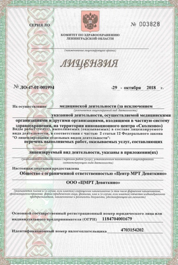 Лицензия ЦМРТ Девяткино в Мурино