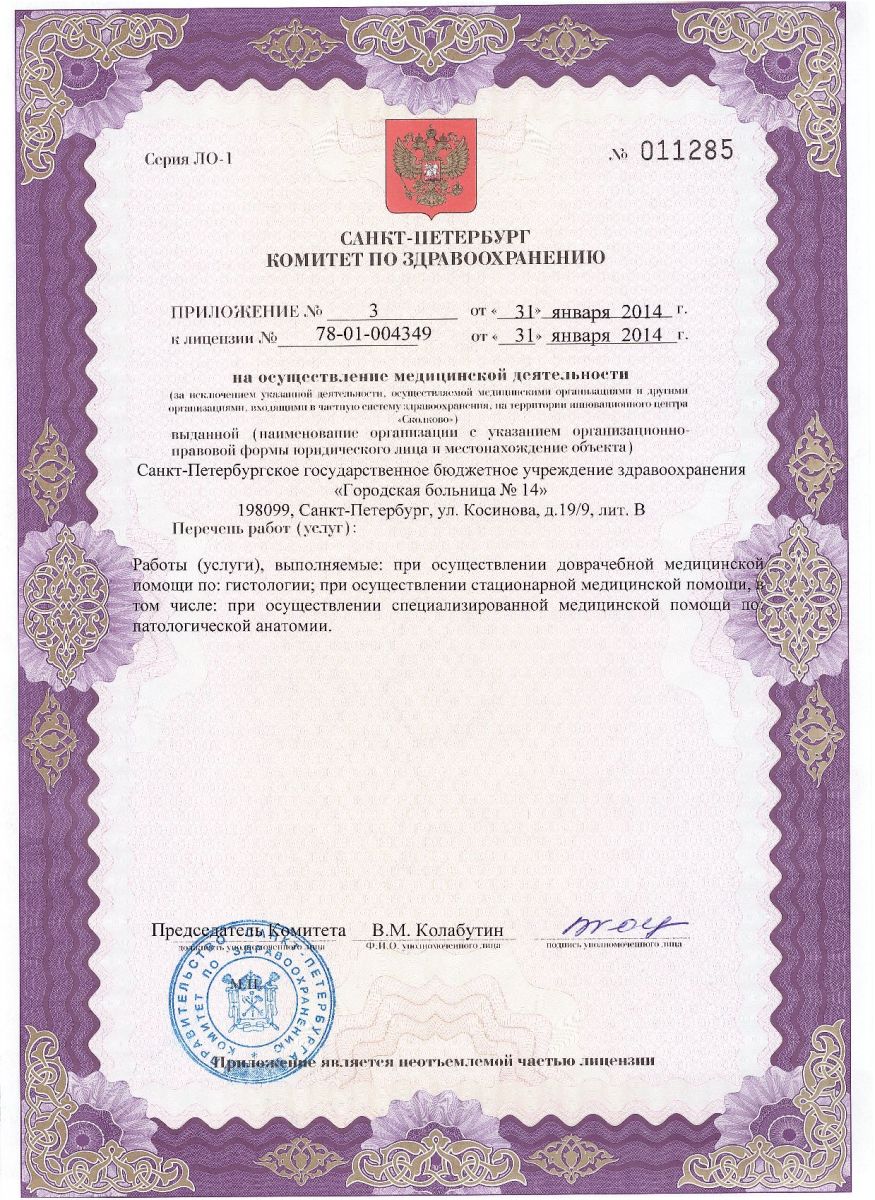 Лицензия Городская больница 14