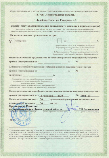 Лицензия Межрайонная больница в Лодейном Поле