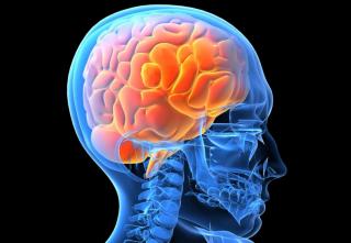 МРТ и КТ при поражении головного мозга