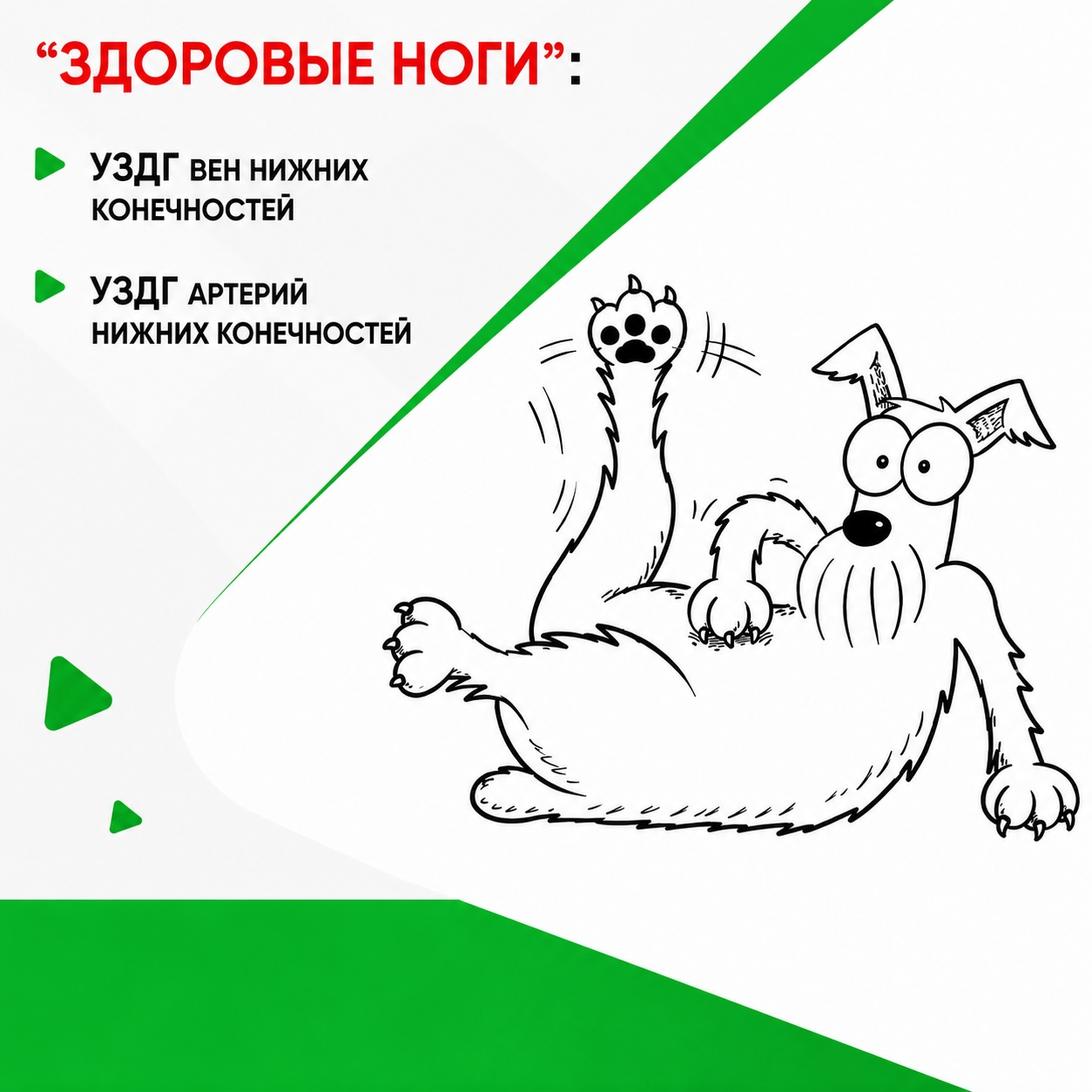 Купон УЗИ нижних конечностей