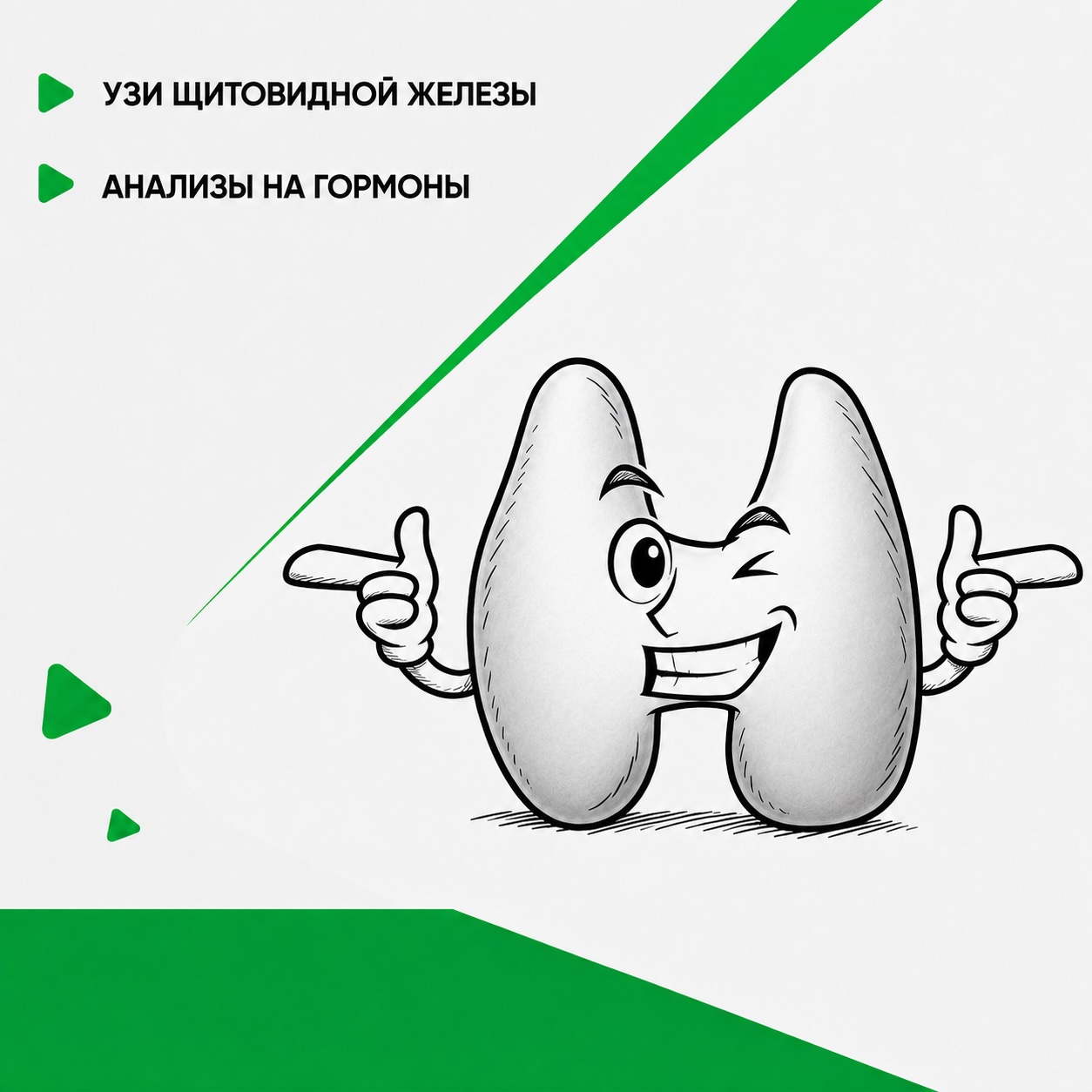 Купон УЗИ щитовидной железы