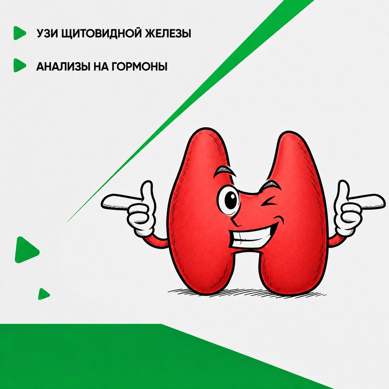 Купон УЗИ щитовидной железы 