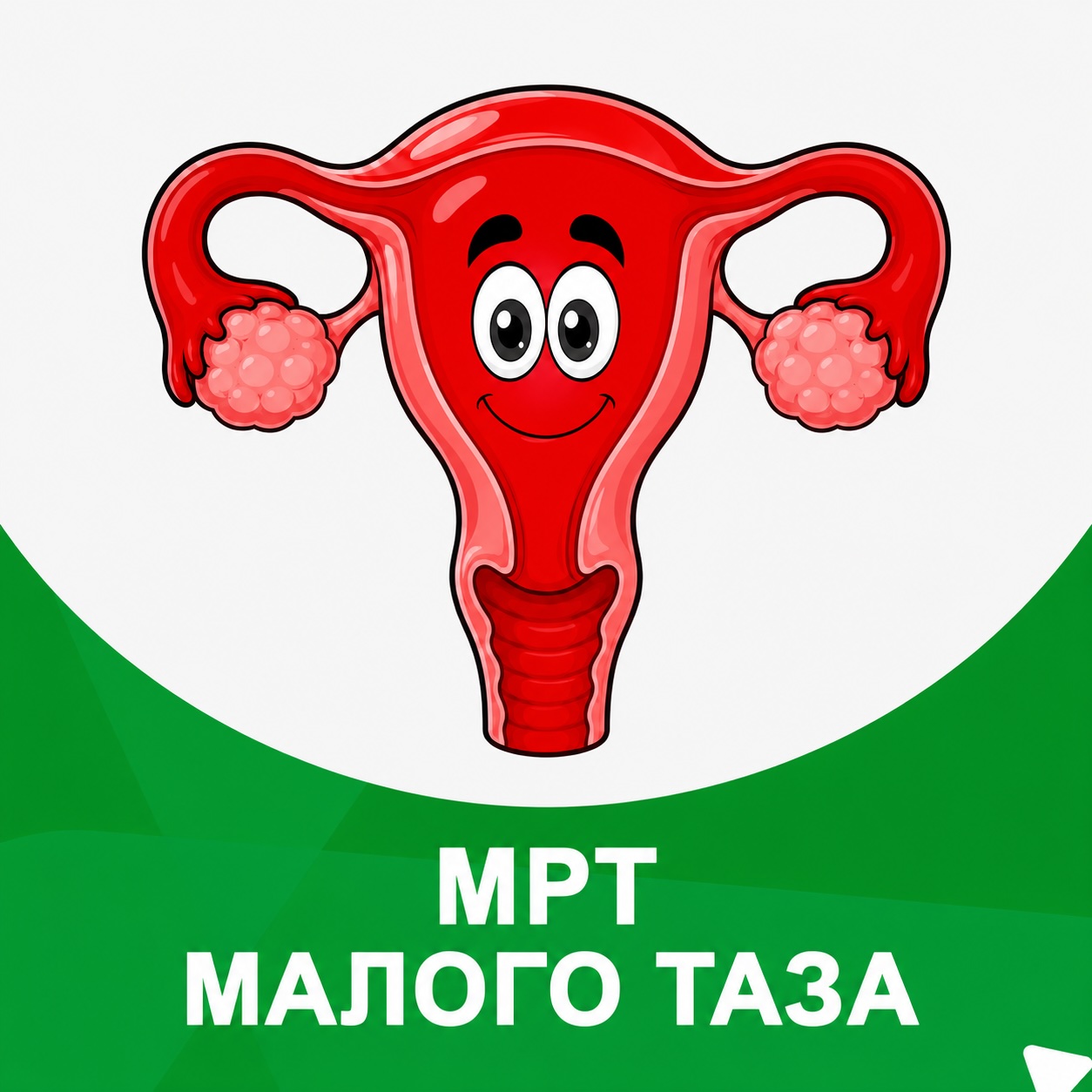 Купон МРТ органов малого таза
