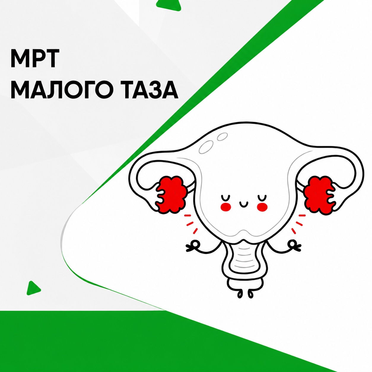Купон МРТ малого таза у женщин